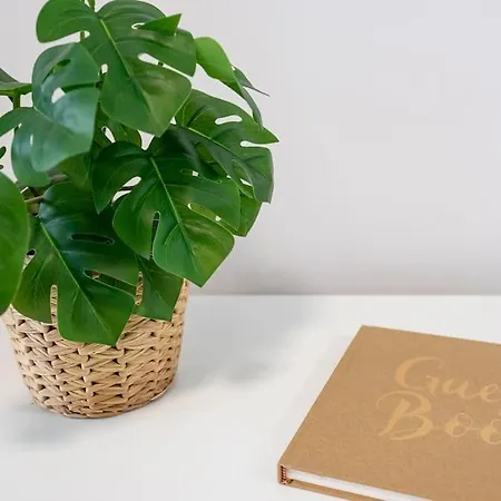 Diego En El Corazon De * Хихон