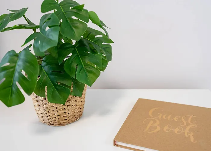 Apartment Diego En El Corazon De Gijon